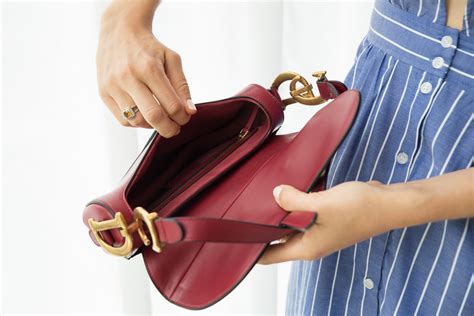 The Ultimate Bag Guide: Dior Saddle Ba